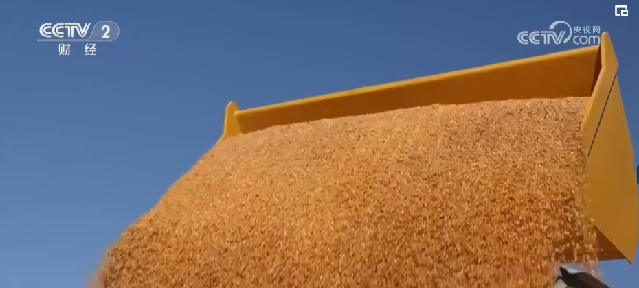 1704790458930198.png 图片1.png